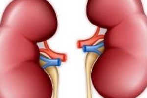 f8e472a5-d8c9-4fe7-8a20-0f5439f9f752-765x510