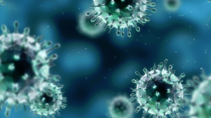 pic-20306-1449477016