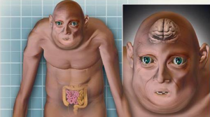 تأثیر سزارین بر تغییر شکل انسان آینده!