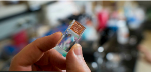 تشخیص سرطان لوزالمعده با تراشه‌ای جدید