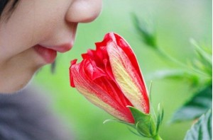 توانایی بینی در بوییدن یک تریلیون رایحه