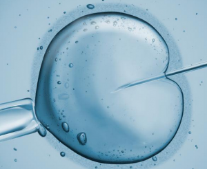 دستاورد جدید محققان در ایمن‌سازی لقاح خارج رحمی