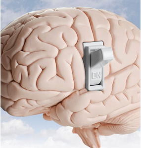 دستاورد چشمگیر دانشمند ایرانی در پاکسازی و بازیابی خاطرات با فشار یک دکمه