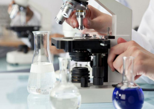 ساخت ترکیب دارویی ترمیم زخم از عصاره‌ بدن کرم خاکی در کشور