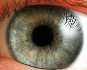 ساخت قطره برای درمان چشم