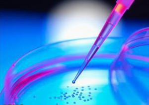 موفقیت محقق ایرانی در جداسازی سلول‌های بنیادی از بافت چربی