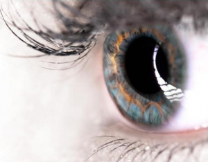 نانوالیافی ضدقارچ برای عفونتهای پوستی و التهاب قرنیه