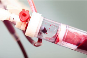 نخستین خون مصنوعی بر روی انسان آزمایش می‌شود!