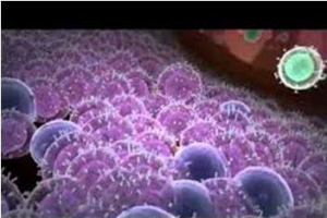 نقشه‌برداری از یکی از مهم‌ترین پروتئین‌های حیات و سرطان