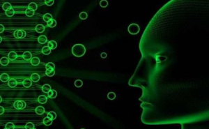 کشف ژن کلیدی مؤثر در رشد مغز